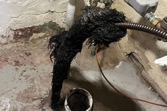 Sewer Lines & Drain Clog services in Duluth, MN